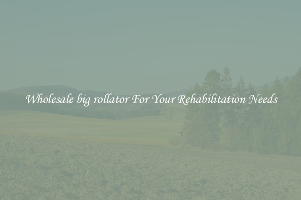 Wholesale big rollator For Your Rehabilitation Needs