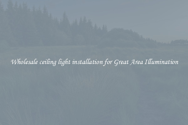 Wholesale ceiling light installation for Great Area Illumination