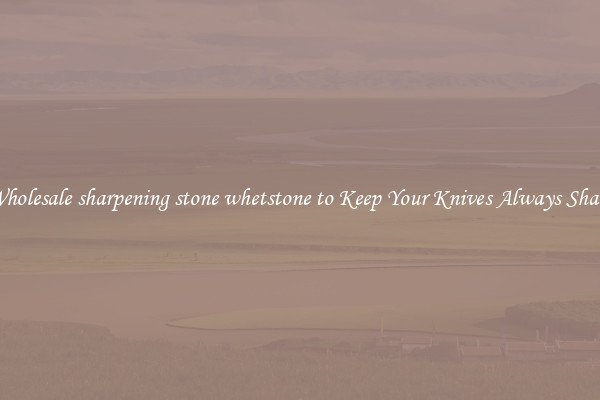 Wholesale sharpening stone whetstone to Keep Your Knives Always Sharp