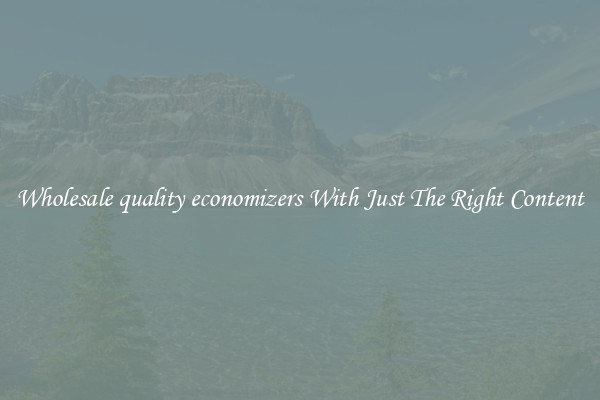Wholesale quality economizers With Just The Right Content