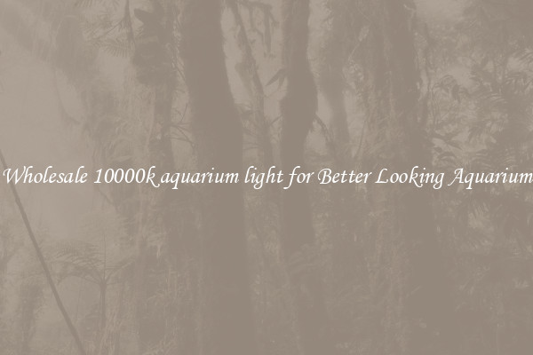 Wholesale 10000k aquarium light for Better Looking Aquarium