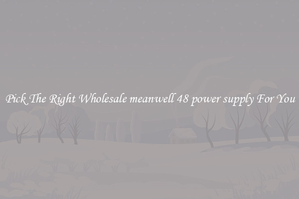 Pick The Right Wholesale meanwell 48 power supply For You