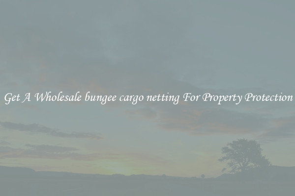 Get A Wholesale bungee cargo netting For Property Protection