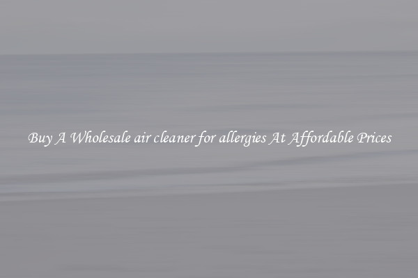 Buy A Wholesale air cleaner for allergies At Affordable Prices
