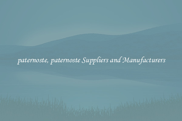 paternoste, paternoste Suppliers and Manufacturers
