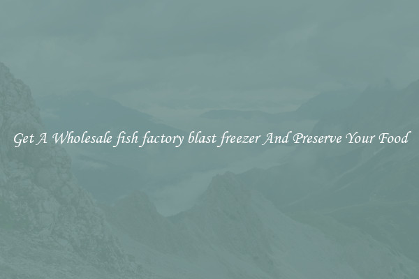 Get A Wholesale fish factory blast freezer And Preserve Your Food