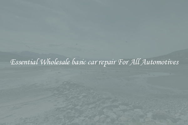 Essential Wholesale basic car repair For All Automotives