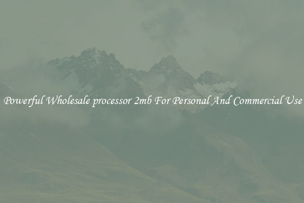 Powerful Wholesale processor 2mb For Personal And Commercial Use