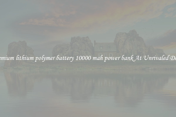 Premium lithium polymer battery 10000 mah power bank At Unrivaled Deals