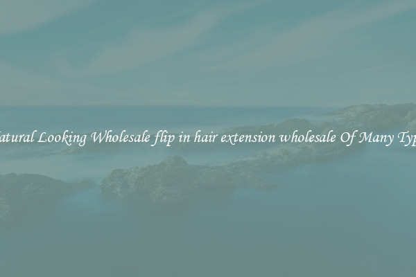 Natural Looking Wholesale flip in hair extension wholesale Of Many Types