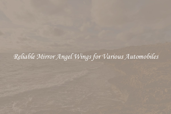 Reliable Mirror Angel Wings for Various Automobiles
