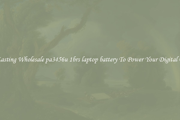 Long Lasting Wholesale pa3456u 1brs laptop battery To Power Your Digital Devices