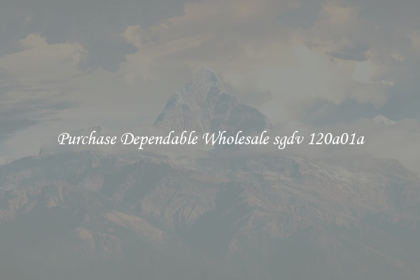 Purchase Dependable Wholesale sgdv 120a01a