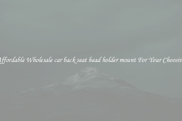 Affordable Wholesale car back seat head holder mount For Your Choosing