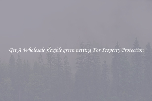 Get A Wholesale flexible green netting For Property Protection
