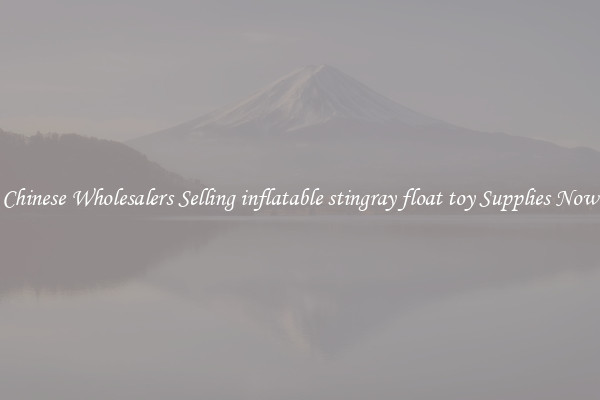 Chinese Wholesalers Selling inflatable stingray float toy Supplies Now
