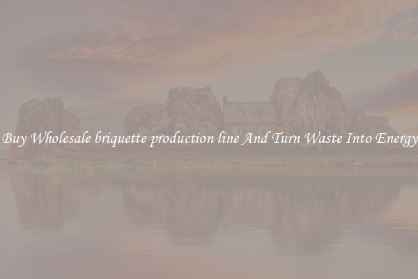 Buy Wholesale briquette production line And Turn Waste Into Energy